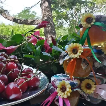 Bed & Breakfast Arcobaleno