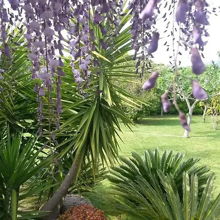 Arcobaleno Bed & Breakfast *